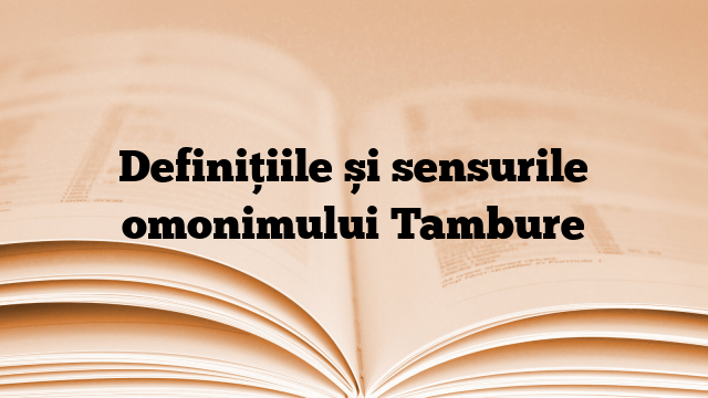 Definițiile și sensurile omonimului Tambure